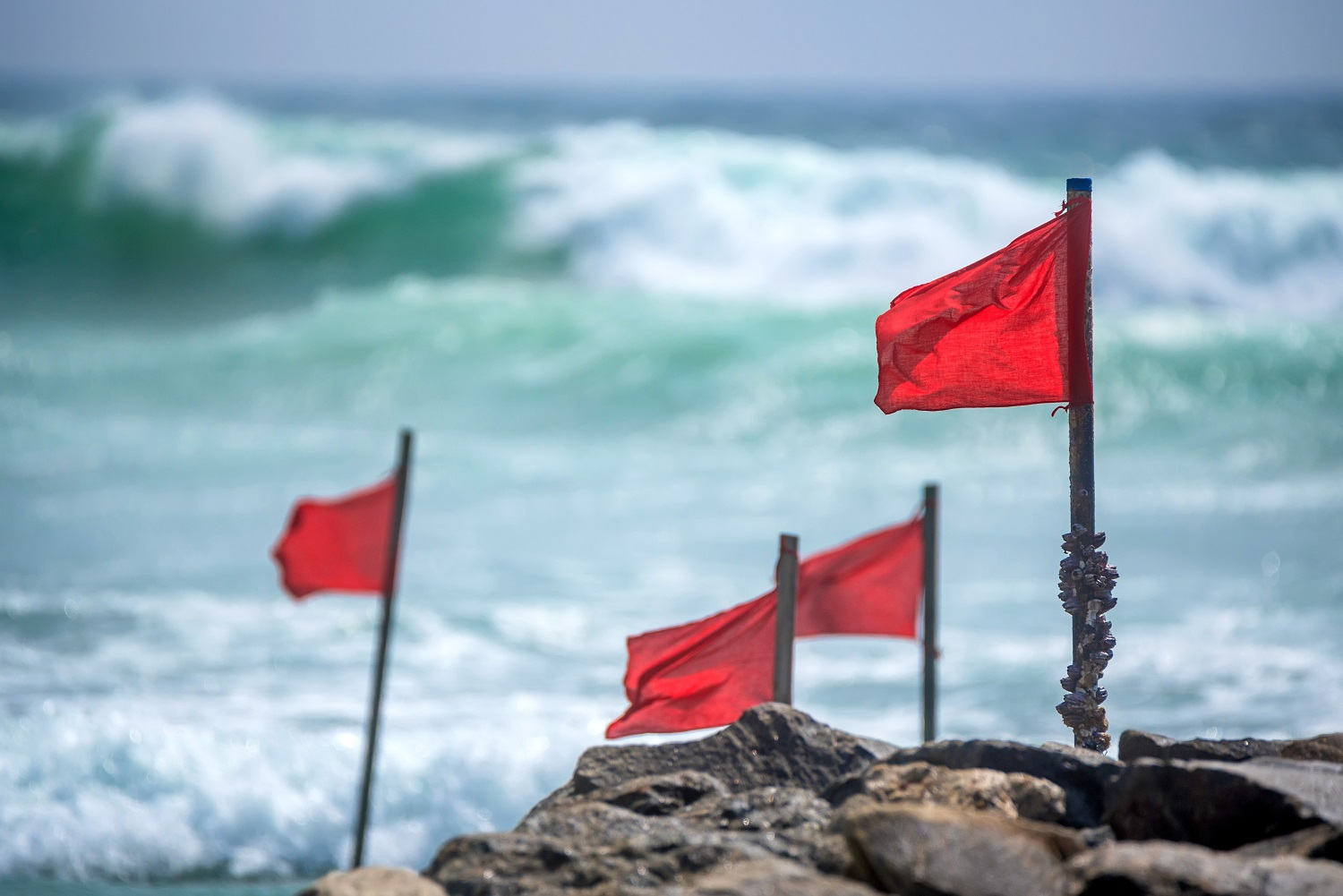 Header image: red flags flying on a beach (credit: Yakov Oskanov)