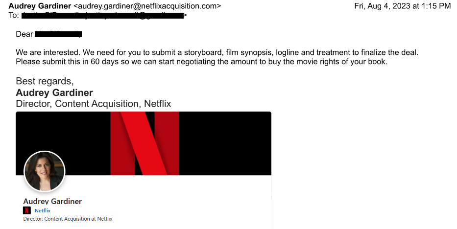 Screenshot of second fake Netflix email: they need "storyboard, film synopsis, logline and treatment to finalize the deal"